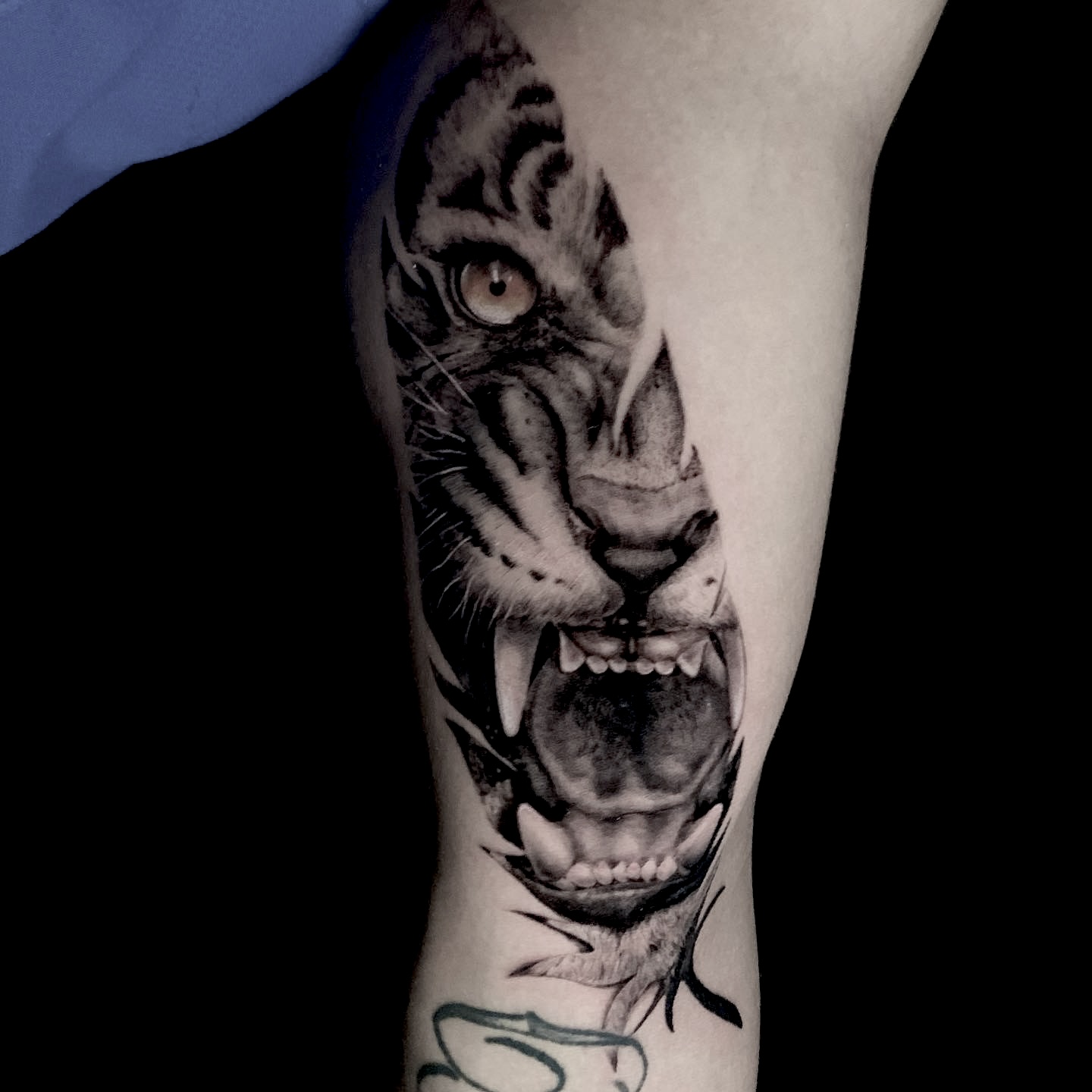 Black & gray realism — lavoro 11, Carlitos Junior Ink Roma